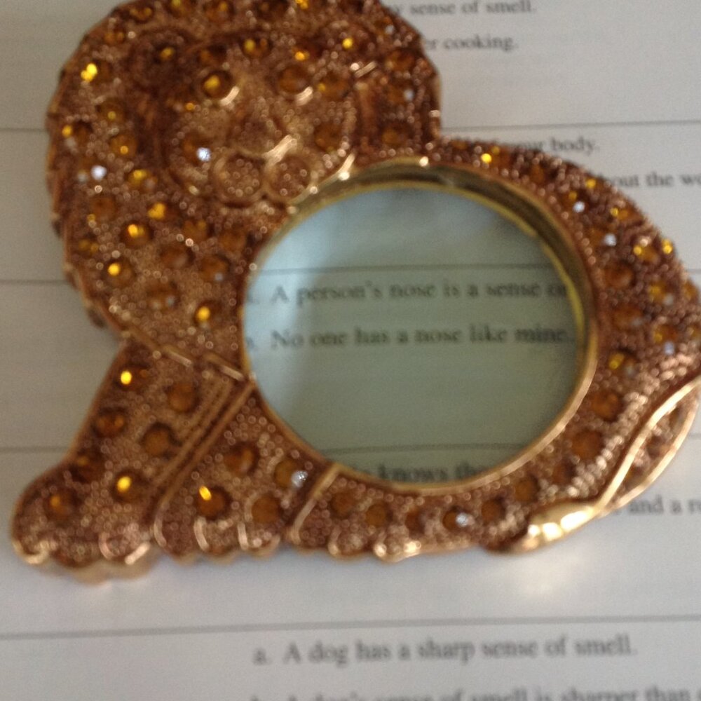 Vintage Jeweled Rhinestone Lion Magnifying/Paperweight